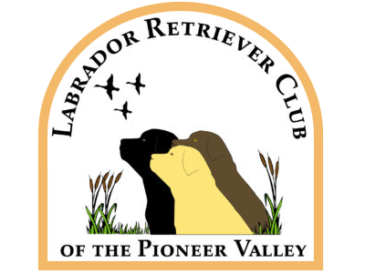 Labrador Retriever Club Of The Pioneer Valley, Labrador Retriever Dogs