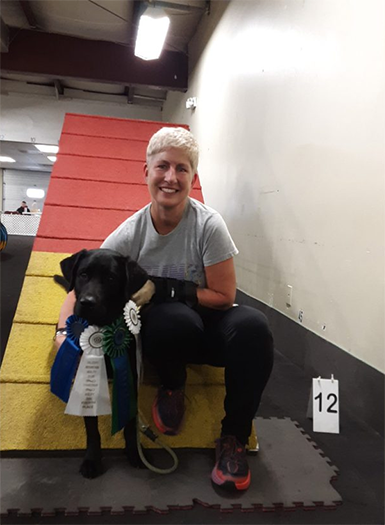 Labrador Retriever Club Of The Pioneer Valley Labradors 149