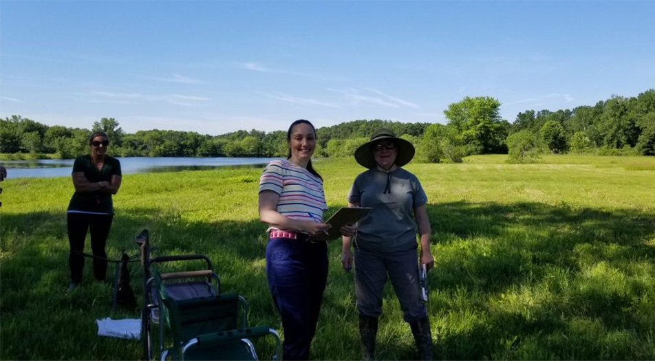 Labrador Retriever Club Of The Pioneer Valley Labradors 153A