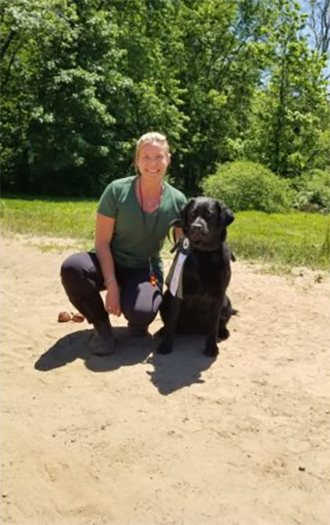 Labrador Retriever Club Of The Pioneer Valley Labradors 59