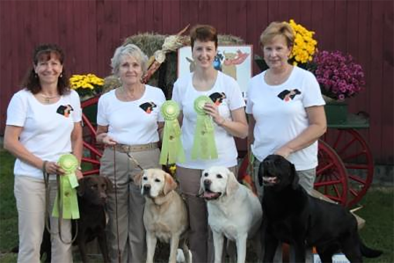 Labrador Retriever Club Of The Pioneer Valley Labradors 67