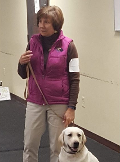 Labrador Retriever Club Of The Pioneer Valley Labradors 70