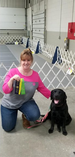 Labrador Retriever Club Of The Pioneer Valley Labradors 73