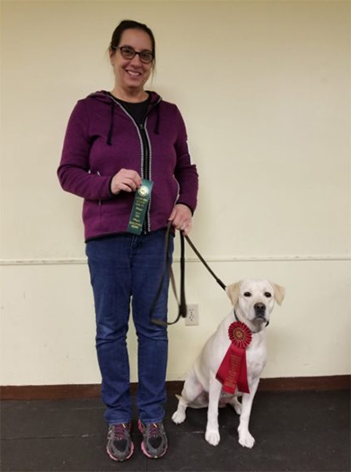 Labrador Retriever Club Of The Pioneer Valley Labradors 80