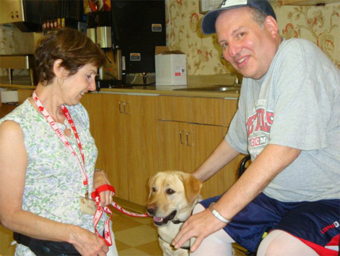 Labrador Retriever Club Of The Pioneer Valley Labradors 97