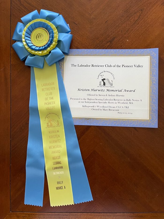 Labrador Retriever Club Of The Pioneer Valley, Labrador Retriever Dogs