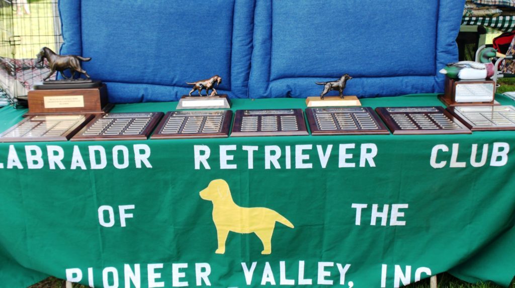 LRCPV Specialty, Labrador Retriever Club Of The Pioneer Valley, Labrador Retriever Dogs