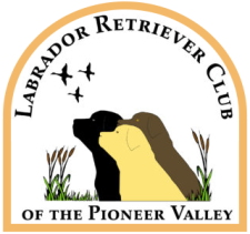 Labrador Retriever Club Of The Pioneer Valley, Labrador Retriever Dogs