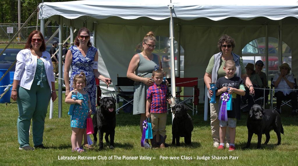Labrador Retriever Club Of The Pioneer Valley Labradors 3-3