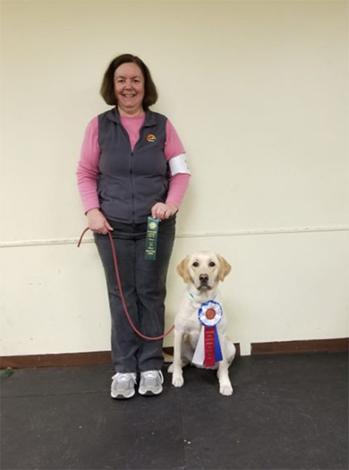 Labrador Retriever Club Of The Pioneer Valley Labradors 82
